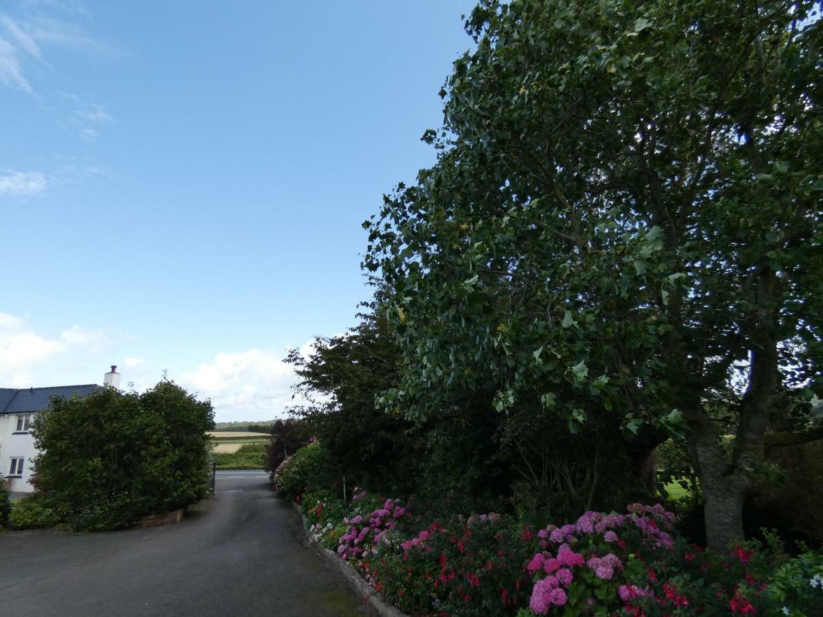 Bed and Breakfast Bournestream Withycombe Экстерьер фото